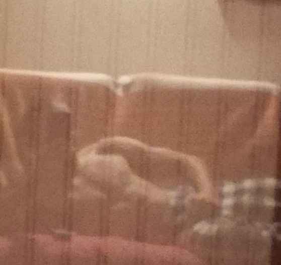 Profil de Brieg, 43 ans, Gay trip à Glis (Valais)