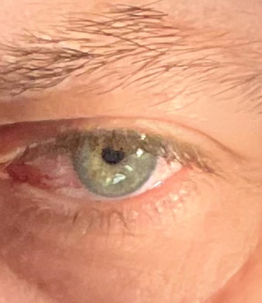 Profil de Gwenvel, 44 ans, Gay trip à Assens (Vaud)